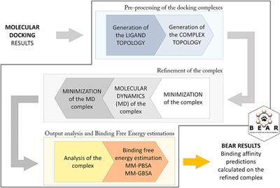 Refinement and Rescoring of Virtual Screening Results